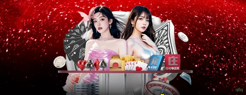 Experiência VIP q8q